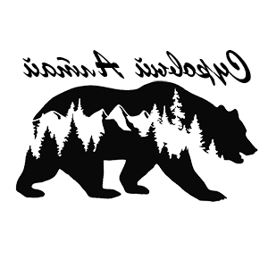        -   109 .