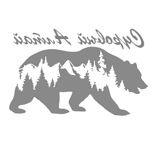        -   109 .