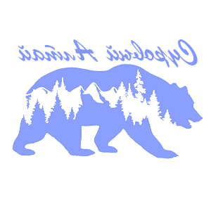        -   109 .