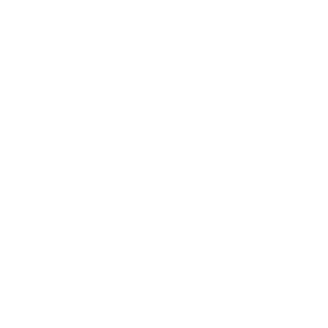      LADA Vesta -   73 .