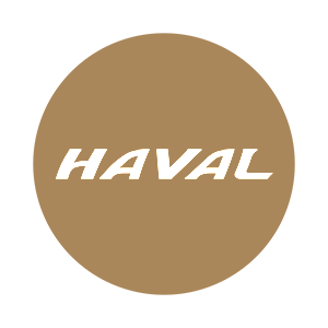 -  Haval -   22 .