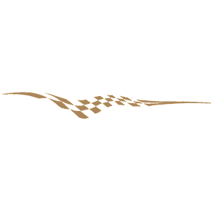  Racing-decor