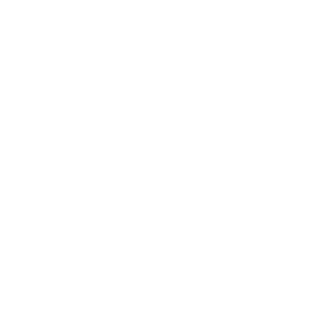      JAC () -   21 .