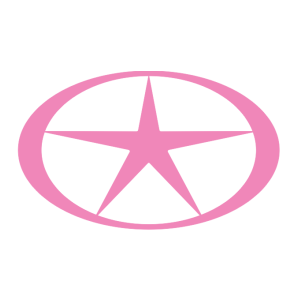      JAC () Logo -   15 .