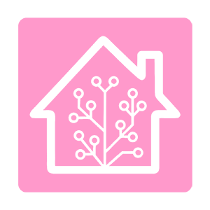  Home Assistant