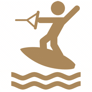    -   -   31 .
