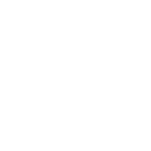      2  -   133 .