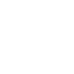        (No_Engine) -   20 .