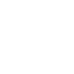  Flash - 