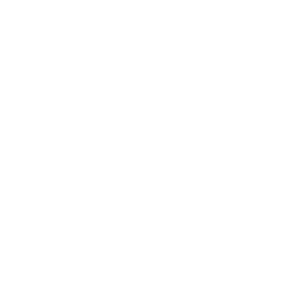  OMODA