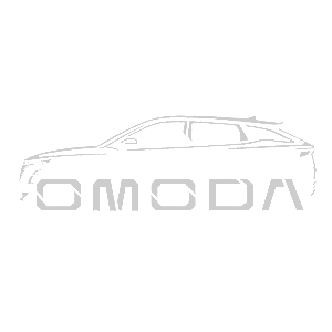 -  OMODA -   85 .