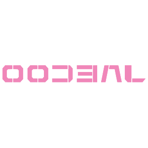      Jaecoo -   10 .