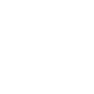       13 -   161 .