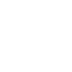        -   133 .