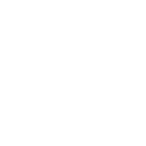        -   133 .