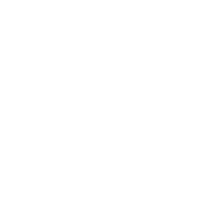        -   133 .