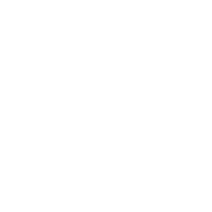        -   133 .