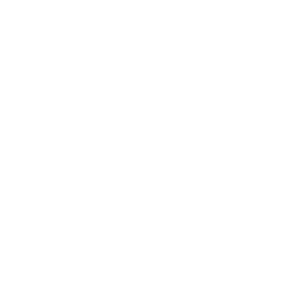        -   133 .