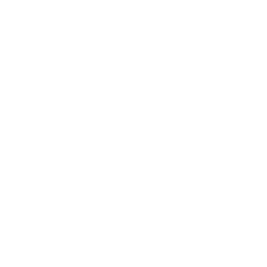     -   133 .