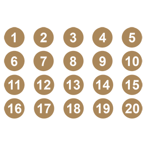     1  20