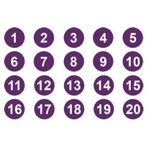     1  20