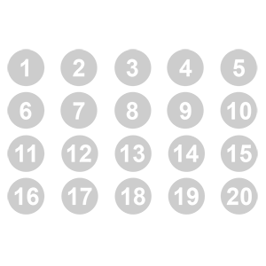    1  20