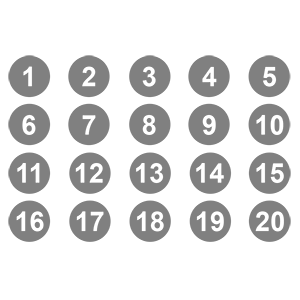     1  20