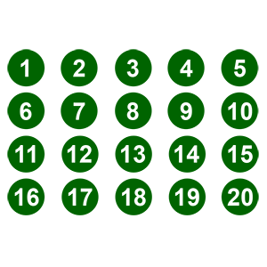     1  20