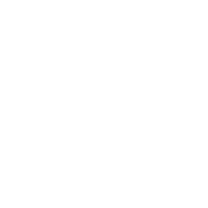       (pathfinder) -   133 .