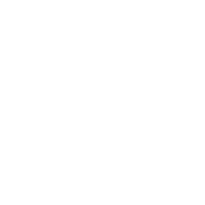       .   -   133 .