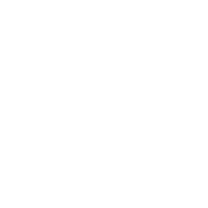     , , ,  -   535 .