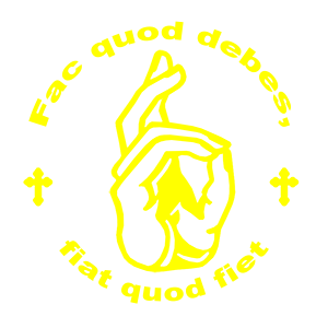  Fac quod debes, fiat quod fiet