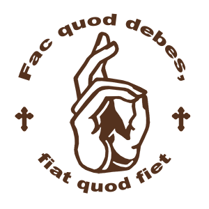   Fac quod debes, fiat quod fiet -   133 .