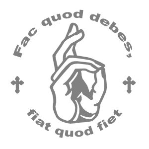   Fac quod debes, fiat quod fiet -   133 .
