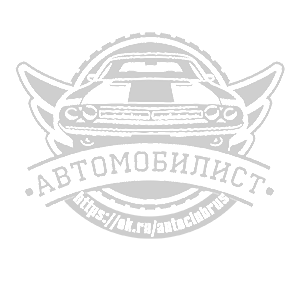 �������� �●������������●�