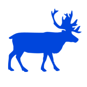    -   63 .