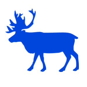       -   63 .