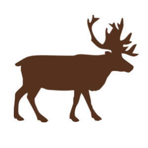    -   63 .