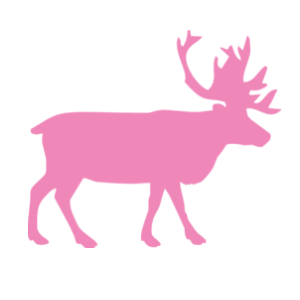    -   63 .