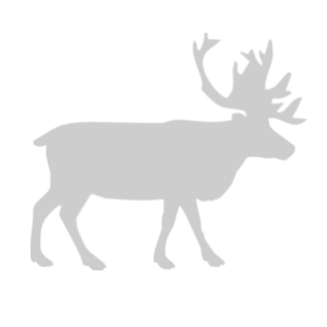    -   63 .