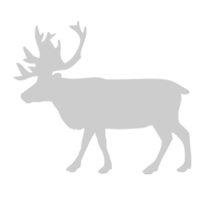       -   63 .