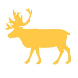       -   63 .