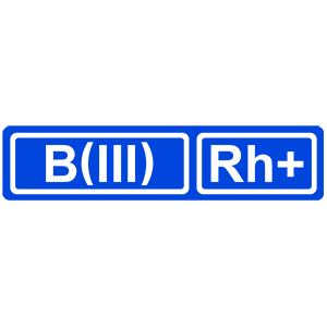 �������� ������� ����� B(III) Rh+ (������ �������������)�