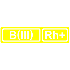 �������� ������� ����� B(III) Rh+ (������ �������������)�