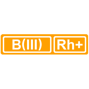 �������� ������� ����� B(III) Rh+ (������ �������������)�