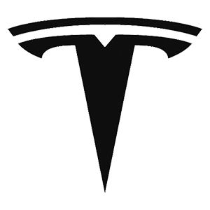 �������� �Tesla logo�