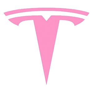 �������� �Tesla logo�