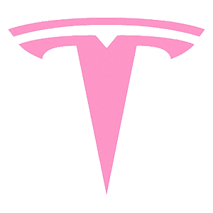 ����������� �� ����������� ������� �������� �Tesla logo� - ������ �� 16 ���.