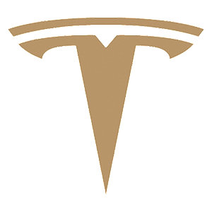 �������� �Tesla logo�