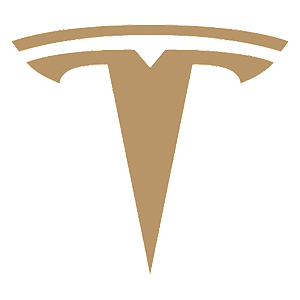����������� �� ����������� ������-���������� �������� �Tesla logo� - ������ �� 16 ���.